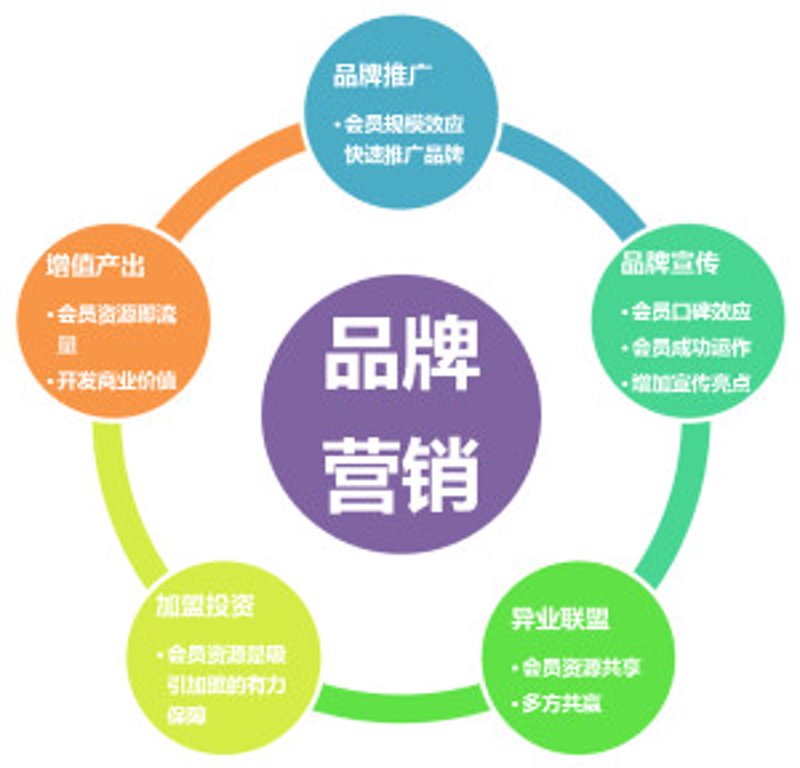 在数字化转型的大潮中,媒体发布的银行业财富管理榜单正以前所未有的速度改变着行业的生态。本文将通过一系列步骤,带你了解如何从众多银行品牌中脱颖而出,成为最受关注的财富管理佼佼者。